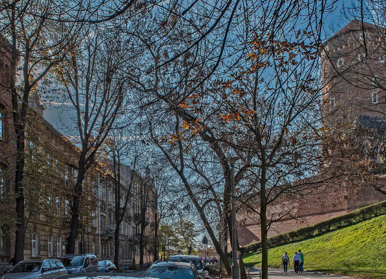 3d Wawel *